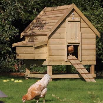 3 - 6 Birds Large Chicken Coop + Nest Box