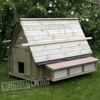 30 Bird Large Swiss Chalet Style Chicken House