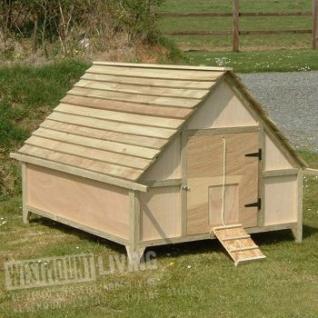 5 x 4 FT Deluxe Duck House