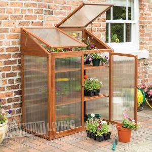 Hardwood Mini Greenhouse